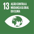Logo ODS 13 Ação contra a mudança global do clima