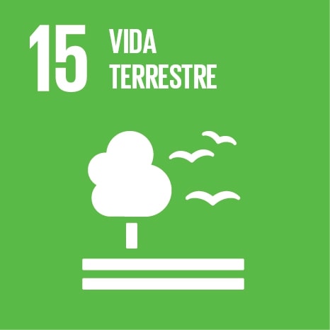 Logo ODS 15 Vida terrestre