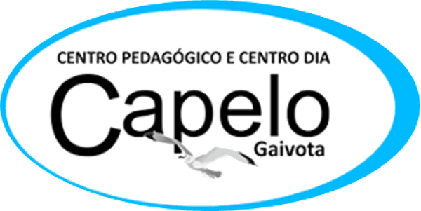 Capelo Gaivota